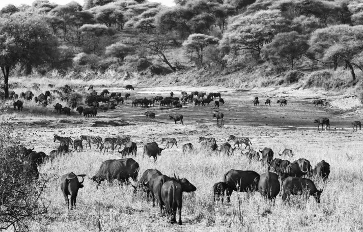 Rest Stop , by Denis Taylor