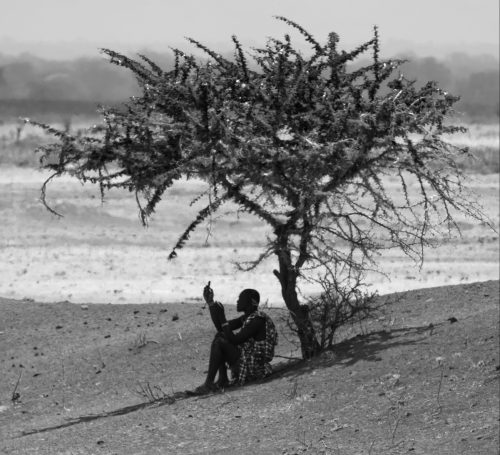www.Maasai_Man African Maasai male sheltering under a tree while checking his mobile phone, by Denis Taylor