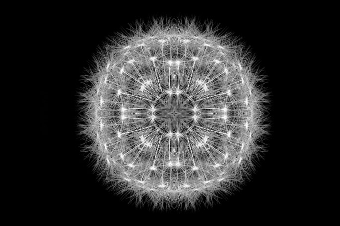 Short Circuits An internally reflected Dandy Lion seed clock, by Denis Taylor
